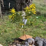 Au Petit Bonheur Frühstückspension