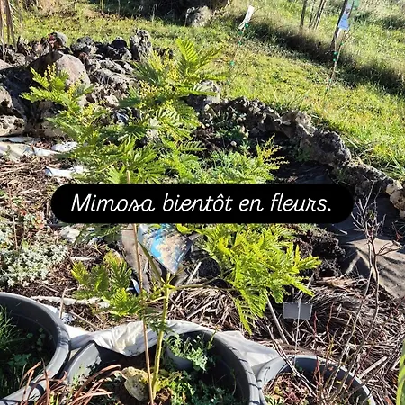 Au Petit Bonheur Panzió